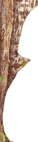 sfondo albero sinistra - Free PNG