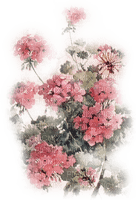 soave background transparent flowers pink