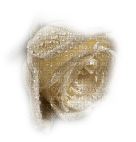 rosas transparente dubravka4 - png grátis