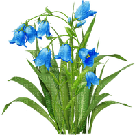 Flores azules - gratis png