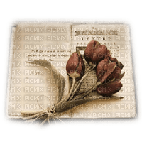 deco libro tulipanes vintage dubravka4 - Free PNG