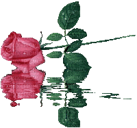 роза на воде - GIF animé gratuit