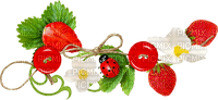 Strawberry Cluster - nemokama png