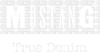 Jeans Logo Mustang Denim White - Bogusia - 無料png