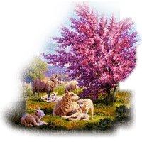 paysage primavera dubravka4 - ücretsiz png