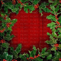 branch red berries plant zweige   image fond background christmas noel xmas weihnachten Navidad рождество natal - Free PNG