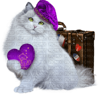 chat  idca - 免费PNG