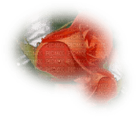 Róża tube12 - PNG gratuit