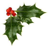 Kaz_Creations Holly Berries - png ฟรี