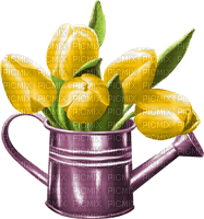 yellow tulips Bb2 - PNG gratuit