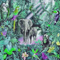 jungle milla1959 - 免费动画 GIF