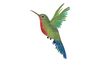 Hummingbird-RM - PNG gratuit