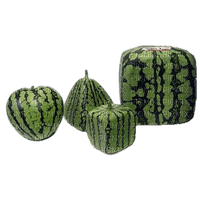 watermelon bp - darmowe png