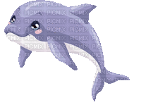 Dolphin - GIF animado grátis