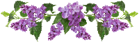 lilac border deco gif lilas bordure - GIF animé gratuit