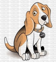 maj beagle - png grátis
