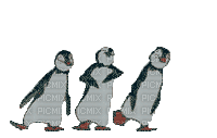 pingouins danse - Бесплатни анимирани ГИФ