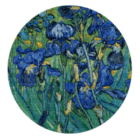 loly33 van Gogh - бесплатно png