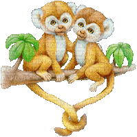 singes - Ilmainen animoitu GIF