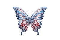 Butterfly USA - Bogusia - nemokama png