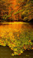 Golden Autumn - Besplatni animirani GIF