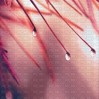 fond pink bp - 無料png