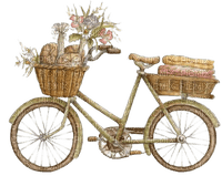 bike fahrrad bicyclette summer ete spring printemps tube vintage - PNG gratuit