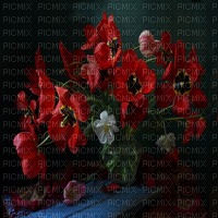 gala flowers - png gratis