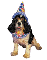 party dog - nemokama png