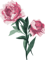 More flowers - Free PNG
