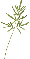 Kaz_Creations Green Deco Leaves Leafs Colours - 免费PNG
