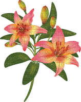 lilies by nataliplus - 無料png