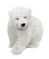 dolceluna polar bear deco fantasy winter white - PNG gratuit