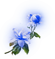Flores azules mágicas - png gratis