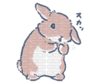 Bunny - gratis png