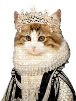 Cat Queen - darmowe png