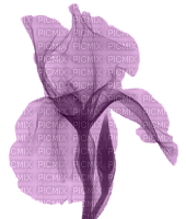 blume flowers lila - kostenlos png