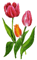 Y.A.M._Spring Flowers Decor - GIF animate gratis