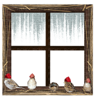 winter window fenetre hiver