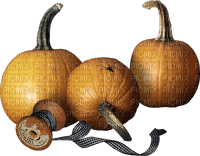 Pumpkins Bb2 - PNG gratuit