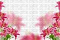 Background-Pink-Lilium - nemokama png
