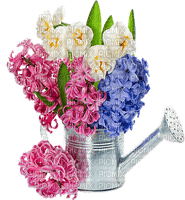 kukka, fleur, flower - бесплатно png