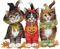 chats halloween - png ฟรี