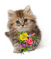 cat flowers fleurs - 免费PNG