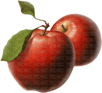 Jabłko 3 - бесплатно png