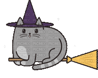 Flying Cat Hat - Free animated GIF