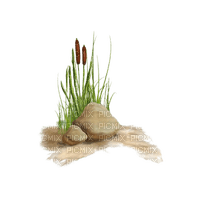 herbe joncs et pierres - PNG gratuit