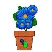 Blue Potted Flowers - GIF animado grátis