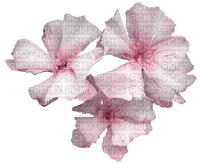 gala flowers - безплатен png