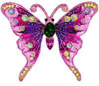 nbl-butterfly - - Free animated GIF